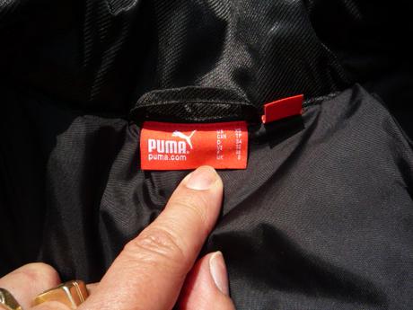Bunda prechodna, puma,s