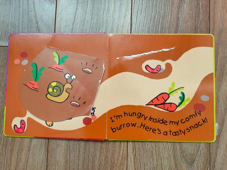 Kniha v angličtine, 