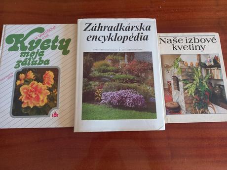 Izbové rastliny od a po z,