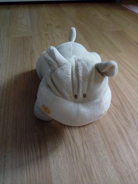 Jané hrošík s búšením srdca, 