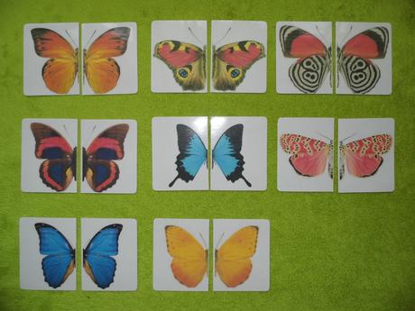 16 ks montessori kartičiek - motýle,