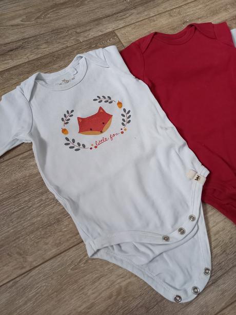 Líščičkové body, kuniboo,62