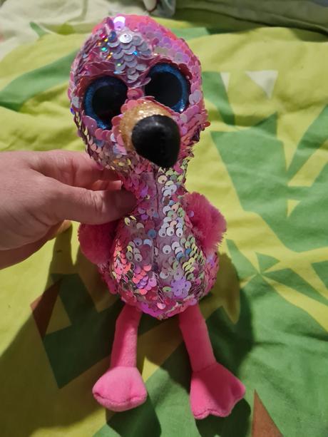 Filtrový plameniak,