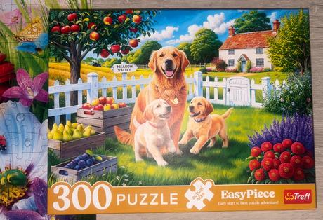 Puzzle 300 trefl 2x top stav, 