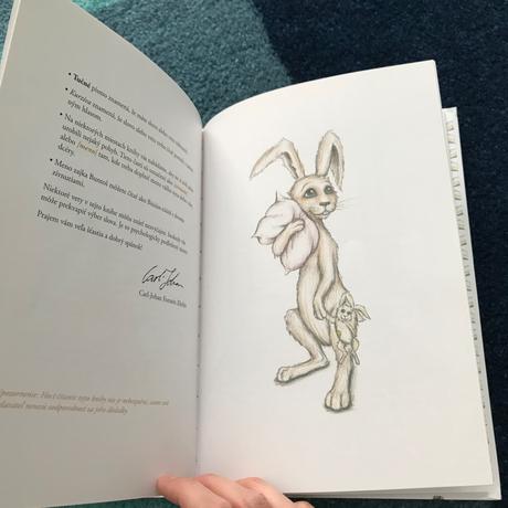 Knižka zajko, ktorý chce zaspať, 