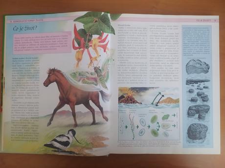 Stručná detská encyklopédia prírody (1992), 