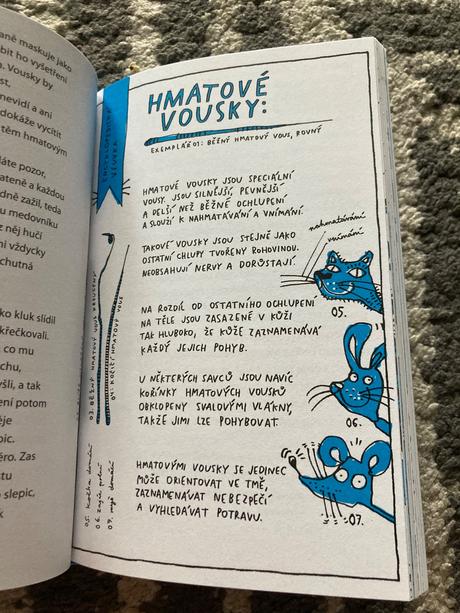 Svéhlavíny s. 1 - moje království nadranc, 