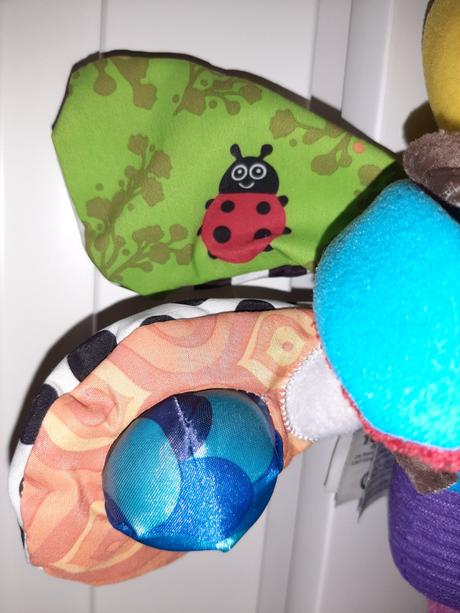 Motýľ tommy lamaze, 