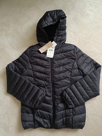 Presivana bundicka, sinsay,m