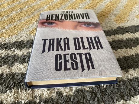 Taká dlhá cesta (1995), 