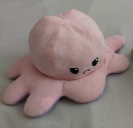 Plyšová chobotnica, 