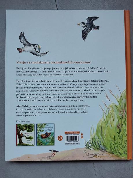 Myšiak pri mori, 