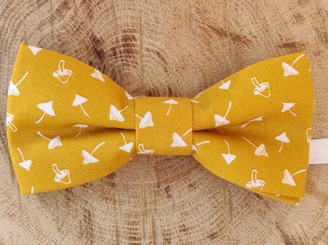 Chlapčenský motýlik,