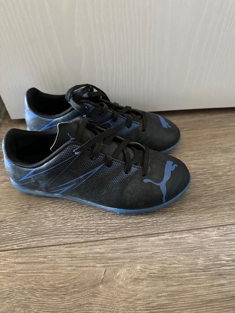 Halovky puma, puma,33