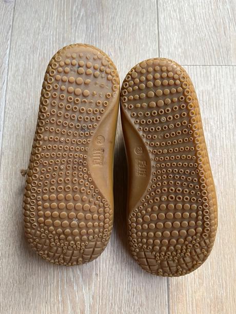 Filii gecko veľ. 28, filii,28