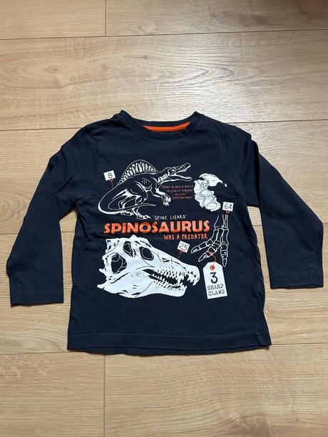 Tričko s dinosaurom -98/104, lupilu,98
