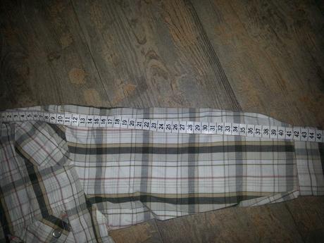 Kosela st.bernard na 6 r., st. bernard,116