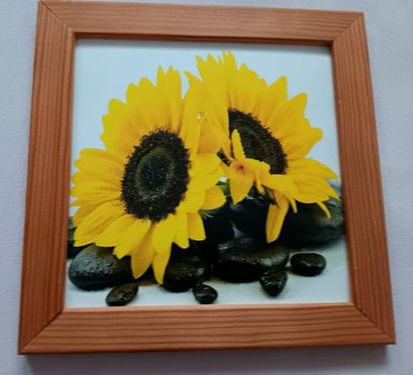 2x obraz slnečnice, 