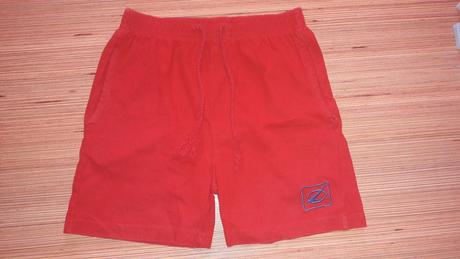 Kraťasy, st. bernard,104