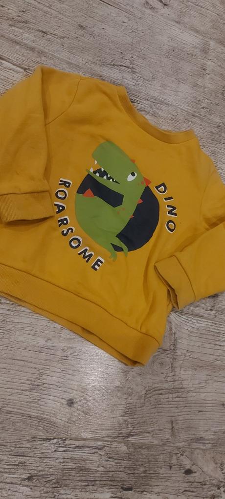 Mikinka s dinom, f&f,116