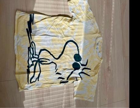 Dievčenske tričko peanuts, h&m,152