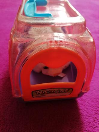 Mačička v prepravnom boxe,