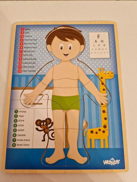 Vkladačka ľudské telo, 