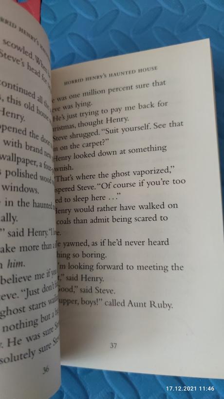 Horrid henry haunted house, 