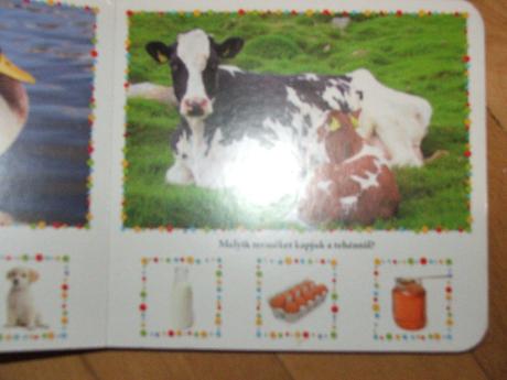 Knižka -leporelo zvieratka madarske, 