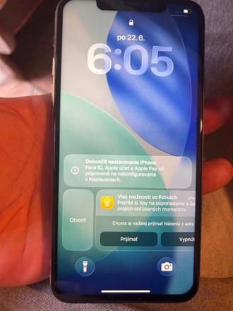 Iphone 11 pro max, apple