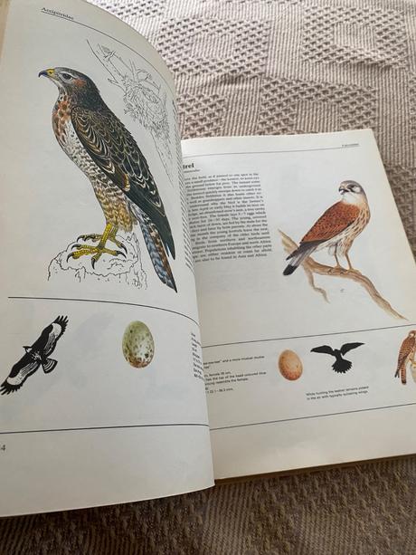 Jana horackova illustrated book of animal life,