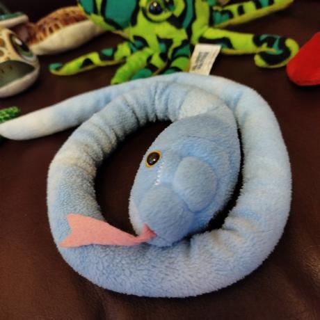 Plyšové morské živočíchy 6ks,