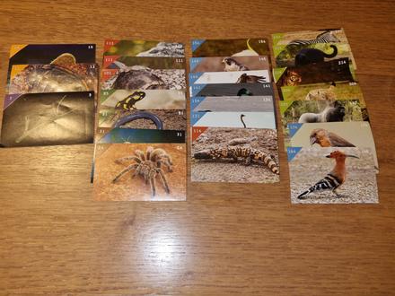 Nalepky animal kingdom,