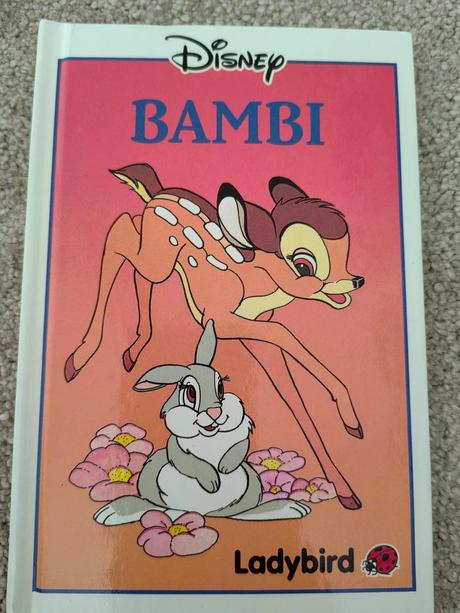 Disney kolekcia anglických kníh,