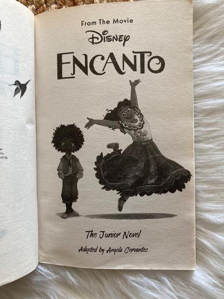 Disney encanto the junior novel,