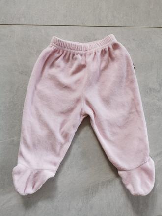 Polodupačky winztwins v. 62, 62