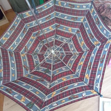 Dáždnik pre dieťa, 