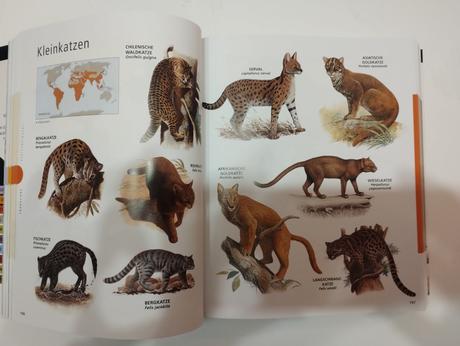 Encyklopédia zvieratá, 