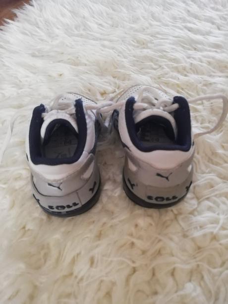 Botasky, puma,18
