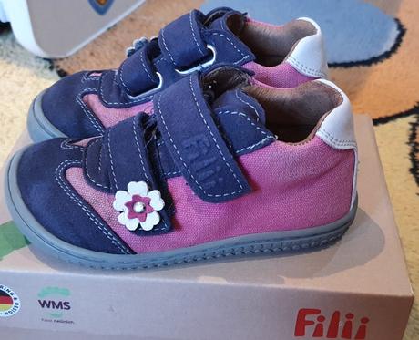 Filii leguan w, filii,23