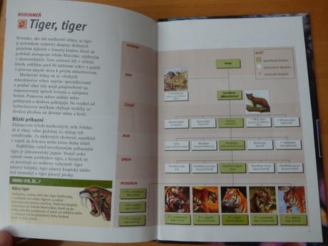 Tigre - výprava do barín,