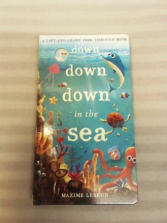 Maxime lebrun down in the sea, 