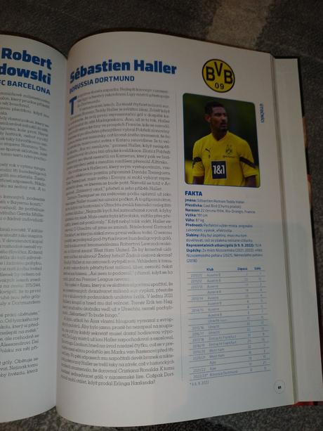 Fotbalové hvězdy 2023, 