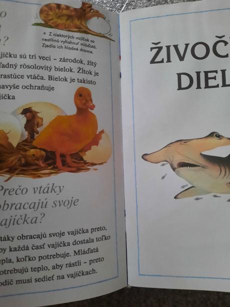 Chcem vedieť prečo - detská encyklopédia,