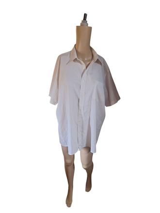 Pánska košeľa, 39