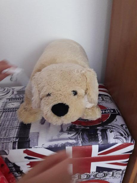 Plysak havo alebo vankus,