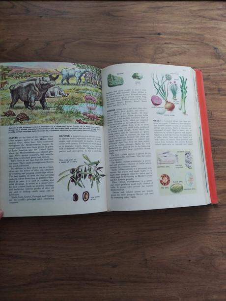 Anglická encyklopédia, 