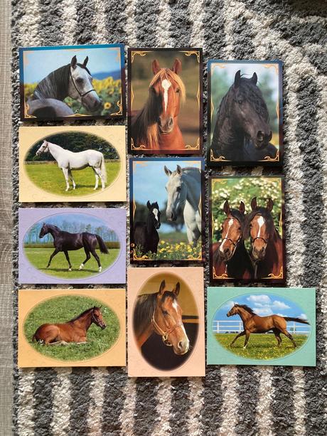 Pohľadnice koní nepopísané 10ks,