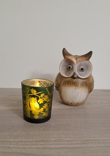 Svietnik sova, 