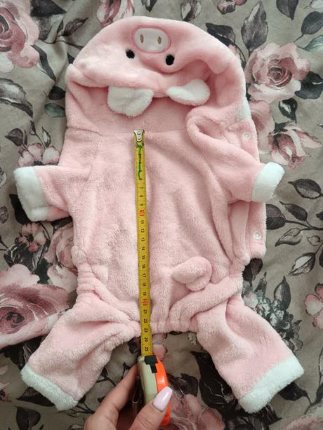 Oblečené pre psika, 